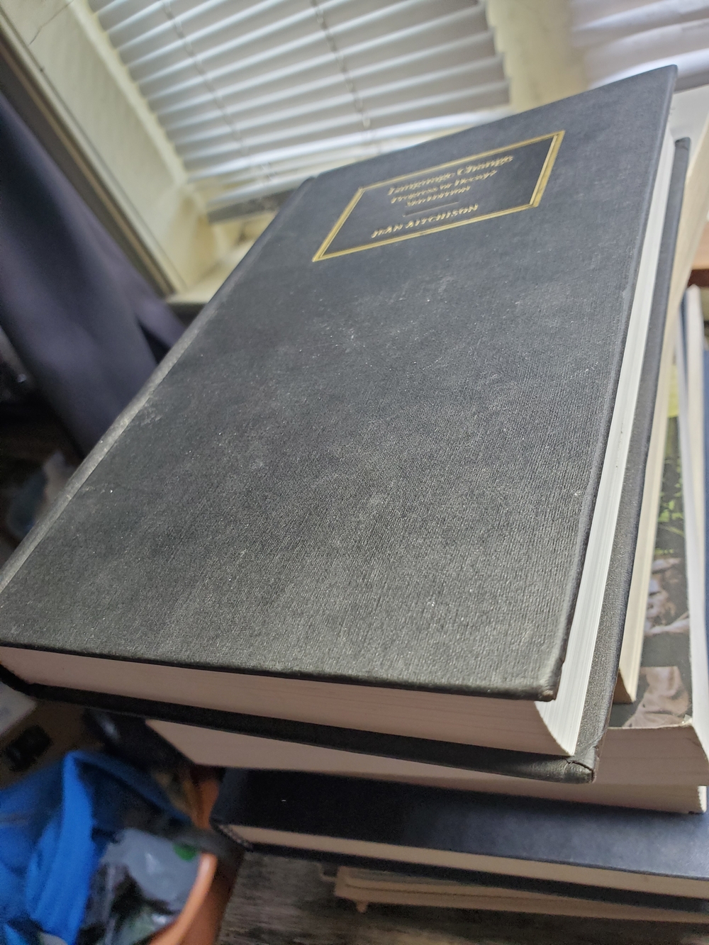3rd Edition hardcover copy of Language Change: Progress or Decay? Jean Aitchison